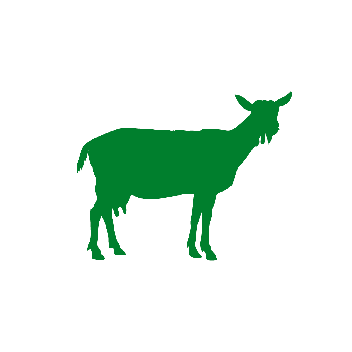 Geiten