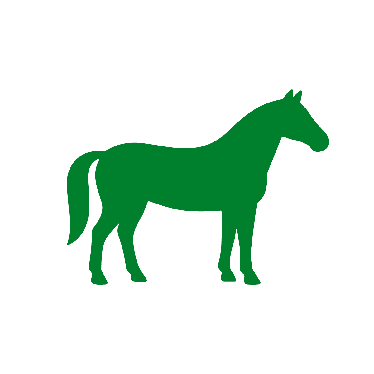 Paarden