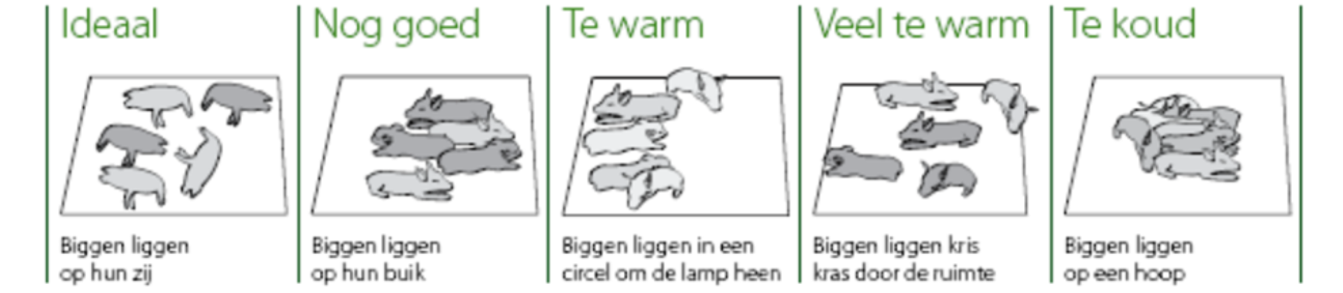 tekening temp.png